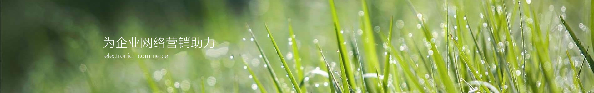 ֣ݣǹذ޹˾